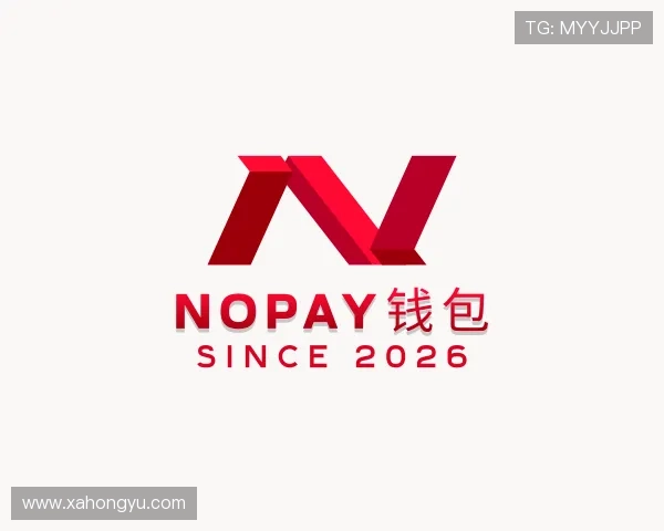 认识NOPAY钱包